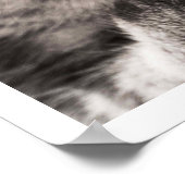 タブビーキャットリキングポーウ ポスター (角)