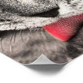 タブビーキャットリキングポーウ ポスター (角)