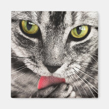 タブビーキャットリキングポーウ