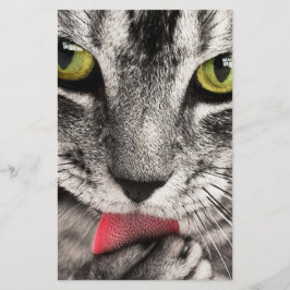 タブビーキャットリキングポーウ 便箋