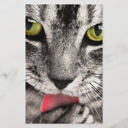 タブビーキャットリキングポーウ 便箋 (正面)