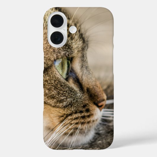 タブビーキャット顔クローズアップ Case-Mate iPhoneケース (裏面)