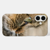 タブビーキャット顔クローズアップ Case-Mate iPhoneケース (裏面 (横))
