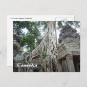 タプローム根 ポストカード (正面/裏面)