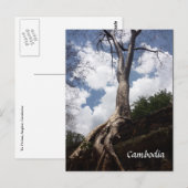 タプローム樹根 ポストカード (正面/裏面)