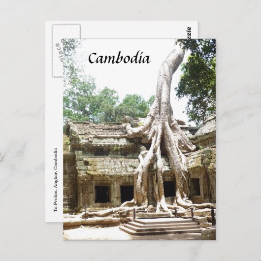 タプローム樹根 ポストカード (正面/裏面)