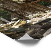 タプローム樹 ポスター (角)