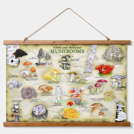 タペストリーきのこ(食用および薬用) 吊り下げ型タペストリー (正面)