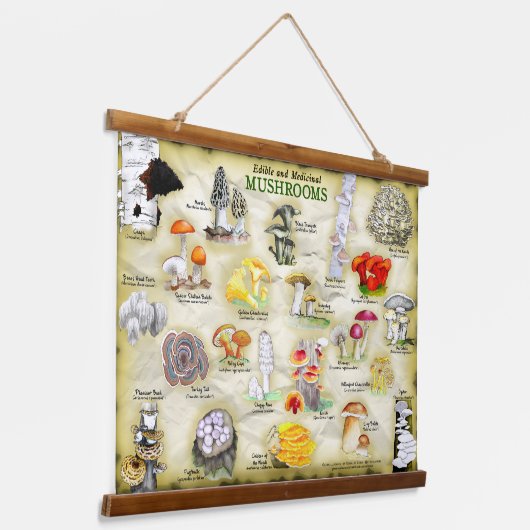 タペストリーきのこ（食用および薬用） 吊り下げ型タペストリー (傾斜あり)