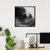 タホー国立森林シーンスクエア24x24写真 ポスター (ホームオフィス)