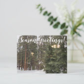 タホー市からのシーズングリーティング ポストカード (スタンド正面)