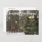 タホー市からのシーズングリーティング ポストカード (正面/裏面)