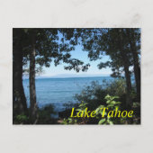 タホー青はがき ポストカード (正面)