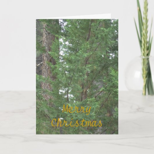 タホ湖のクリスマスのコレクションカード シーズンカード (正面)