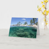 タホ湖の上下 カード (黄色い花)