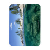 タホ湖の上下 マグネット (縦)