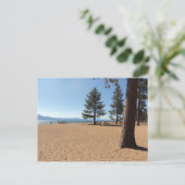 タホ湖の常緑樹 ポストカード (スタンド正面)