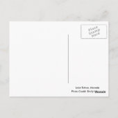 タホ湖の美しい風景の絵葉書 ポストカード (裏面)