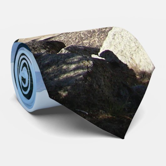 タホ湖5 ネクタイ (ロール)