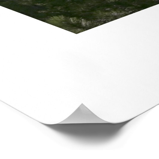 タホ湖 ポスター (角)