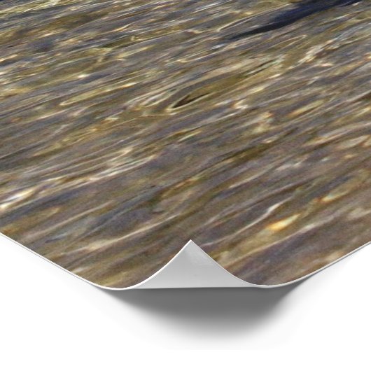 タホ湖 ポスター (角)