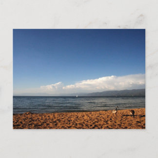 タホ湖 ポストカード