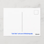 タホ湖 ポストカード (裏面)