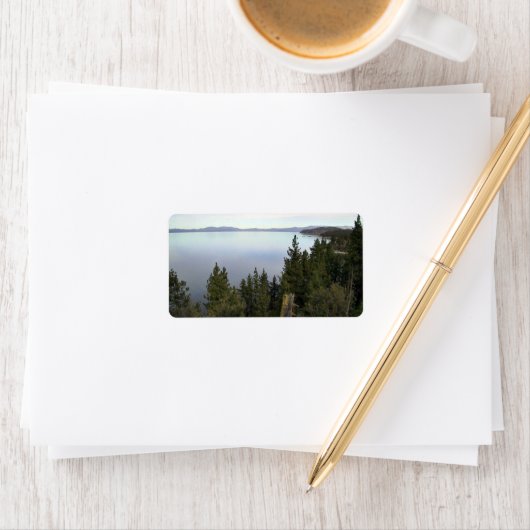 タホ湖(松の木) ラベル (インサイチュ)