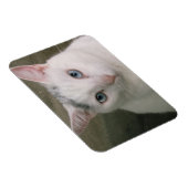 タポール マグネット (右側)