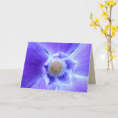 タマキビの空白のな挨拶状 カード (黄色い花)