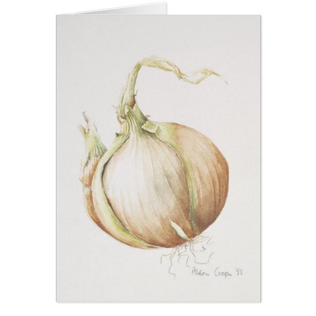 タマネギの勉強1993年 (正面)