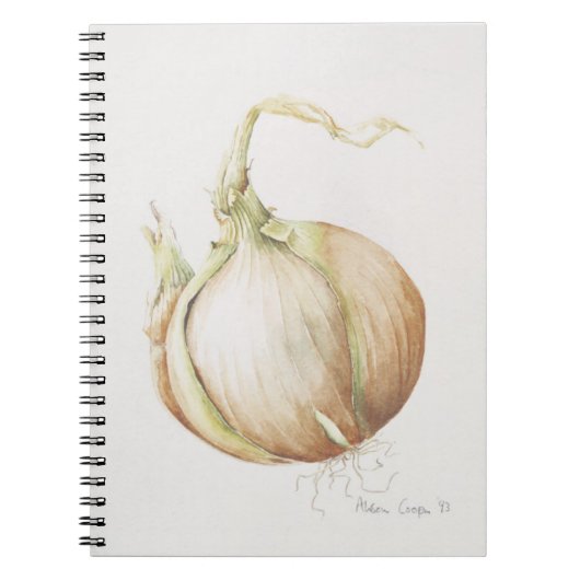 タマネギの勉強1993年 ノートブック (正面)
