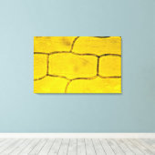 タマネギ植物細胞 キャンバスプリント (インサイチュ (ウッドフロア))