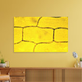 タマネギ植物細胞 キャンバスプリント (インサイチュ (リビング))