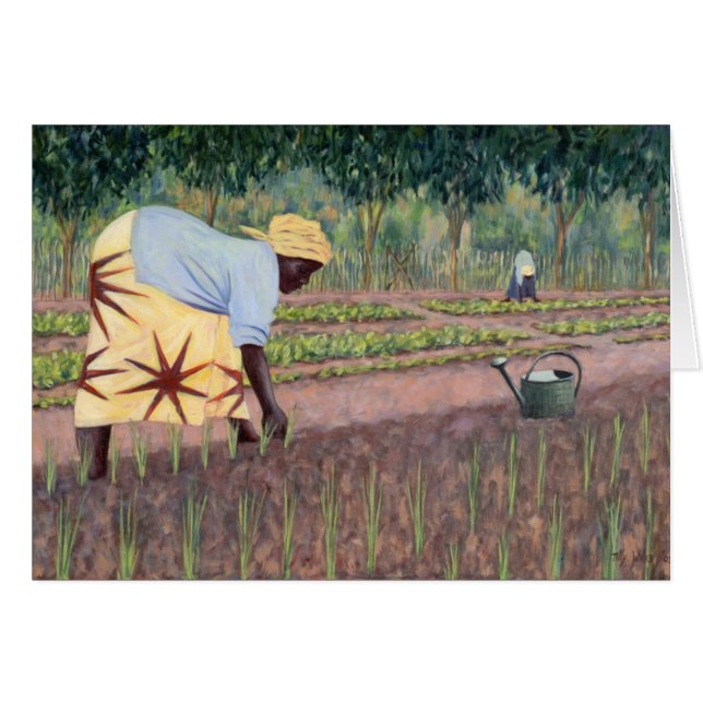 タマネギ2005年を植えること (正面横)