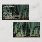 タマネギ、壮大なくねり、オンタリオ、カナダ 名刺 (正面/裏面)