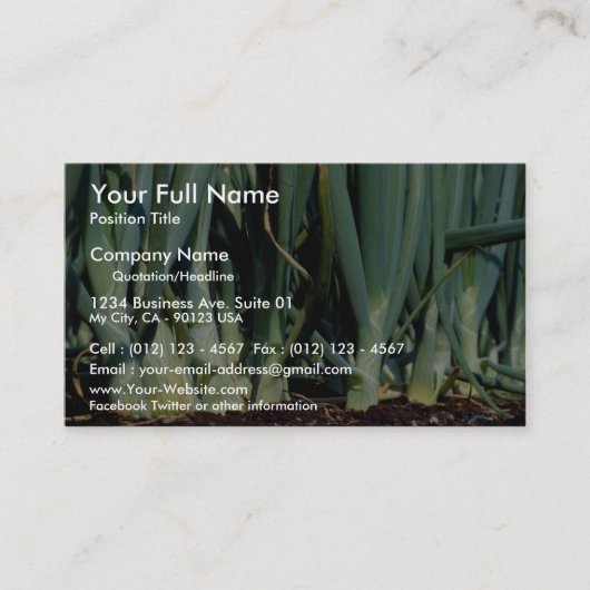 タマネギ、壮大なくねり、オンタリオ、カナダ 名刺 (正面)