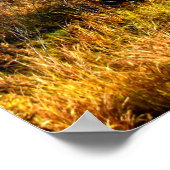 タマラックスリーシアトル引用文カードシアトル引用文 ポスター (角)