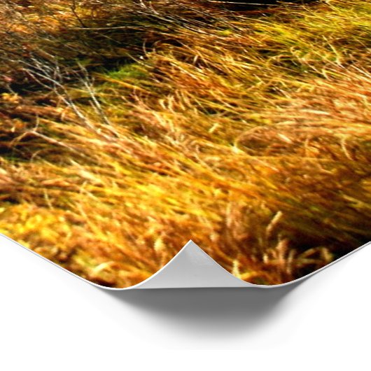 タマラックスリーシアトル引用文カードシアトル引用文 ポスター (角)