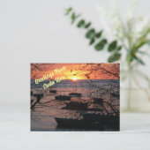 タマリンドに燃えるコスタリカの夕日 ポストカード (スタンド正面)