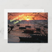 タマリンドに燃えるコスタリカの夕日 ポストカード (正面/裏面)