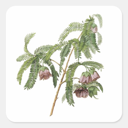 タマリンドフラワーバイレッドヴェー スクエアシール (正面)