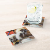 タマリンモンキーズ ガラスコースター (アングル)