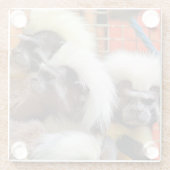 タマリンモンキーズ ガラスコースター (裏面)