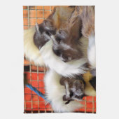 タマリンモンキーズ キッチンタオル (縦)