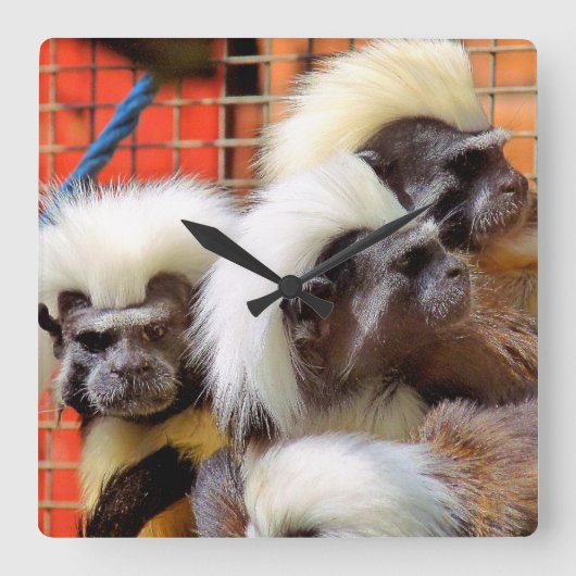 タマリンモンキーズ スクエア壁時計 (正面)