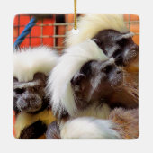 タマリンモンキーズ セラミックオーナメント (裏面)