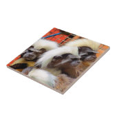 タマリンモンキーズ タイル (側面)