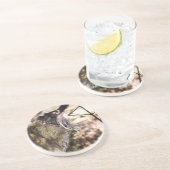 タマリンモンキー コースター (側面)