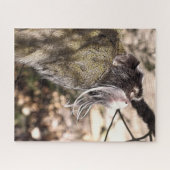 タマリンモンキー ジグソーパズル (横)